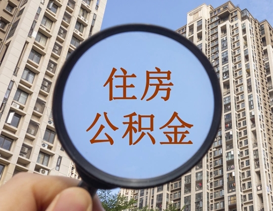 邵阳退休后查不到公积金明细了吗（退休后公积金查询不到原因）